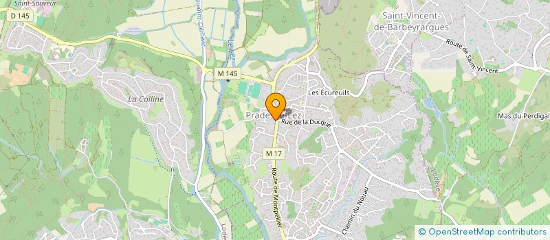 localisation de l'entreprise 894 790 161   MONTFERRIER-SUR-LEZ