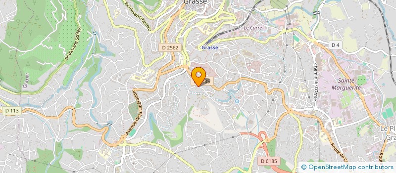 localisation de l'entreprise 895 007 789   GRASSE