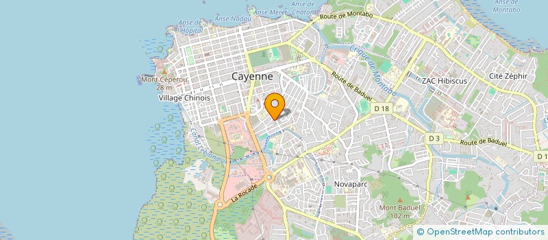 localisation de l'entreprise 895 060 994   CAYENNE