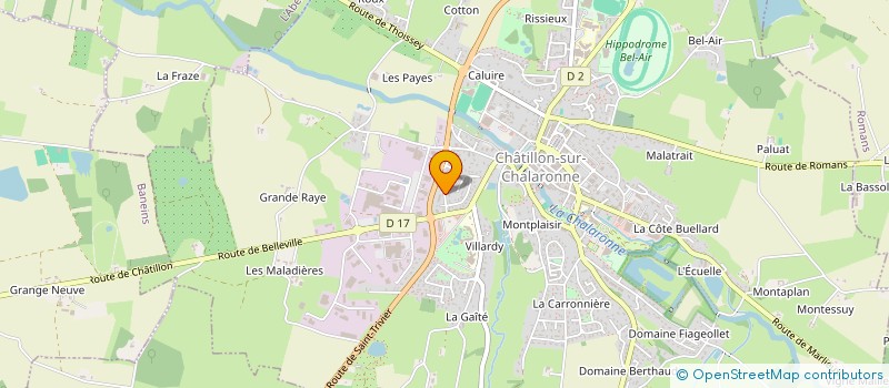 localisation de l'entreprise 895 205 268   CHATILLON-SUR-CHALARONNE