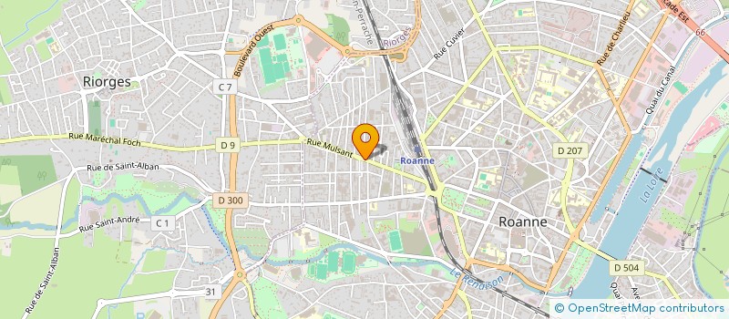 localisation de l'entreprise 897 705 141  à ROANNE