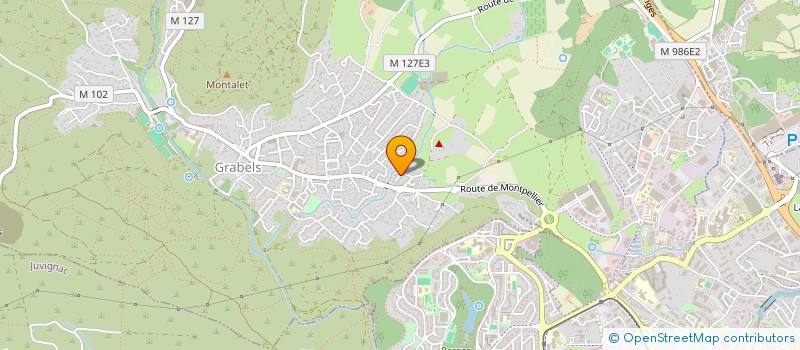 localisation de l'entreprise 898 952 460 à MONTPELLIER