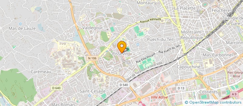 localisation de l'entreprise 899 199 913 à MONTPELLIER