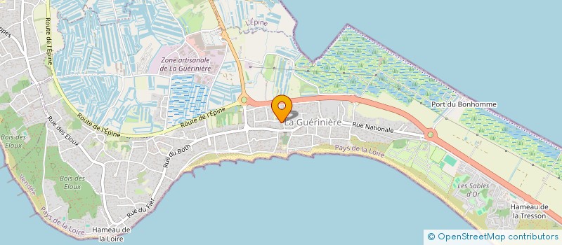 localisation de l'entreprise 899 297 584   LA GUERINIERE