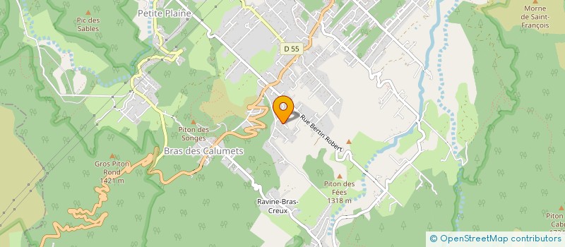 localisation de l'entreprise 899 648 737 à LA PLAINE-DES-PALMISTES