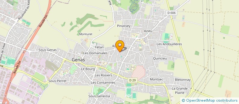 localisation de l'entreprise 9 DE LYON  GENAS