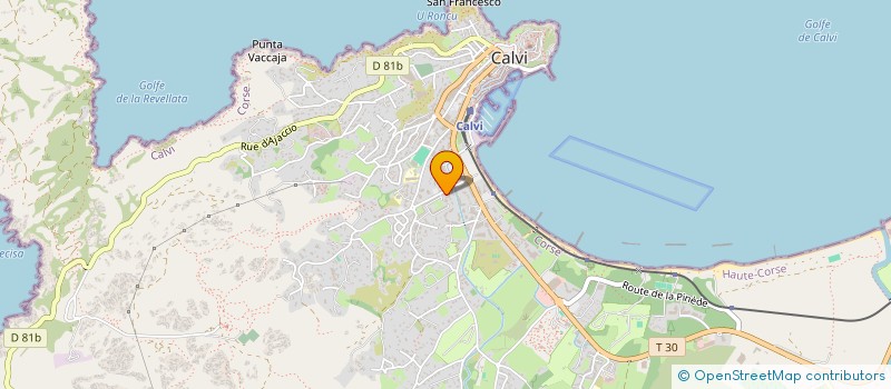 localisation de l'entreprise 900 613 589 à CALVI