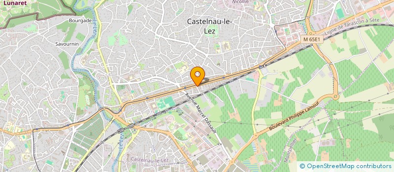localisation de l'entreprise 901 655 126   CASTELNAU-LE-LEZ