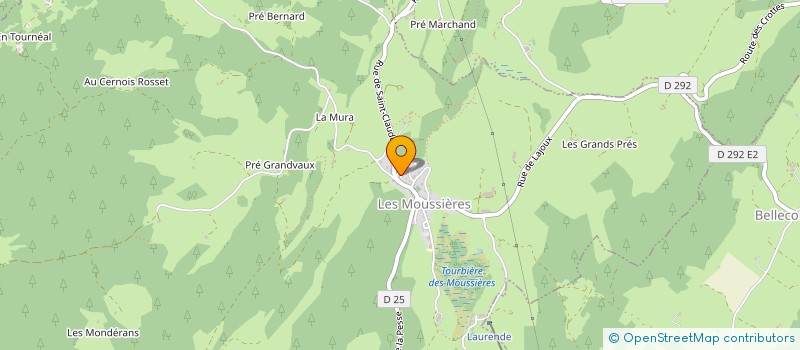 localisation de l'entreprise 901 665 679   LES MOUSSIERES