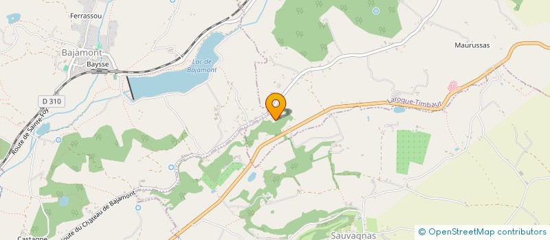 localisation de l'entreprise 902 081 991   LAROQUE-TIMBAUT