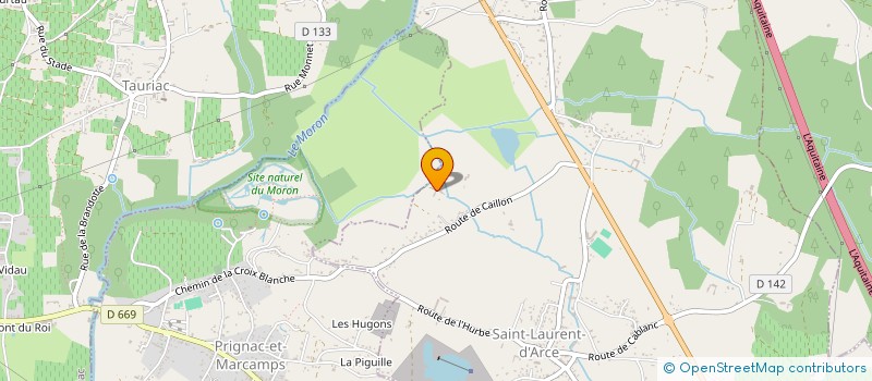 localisation de l'entreprise 903 423 465 à SAINT-SAVIN