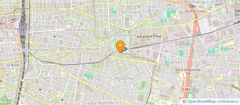 localisation de l'entreprise 903 919 462   VILLEURBANNE