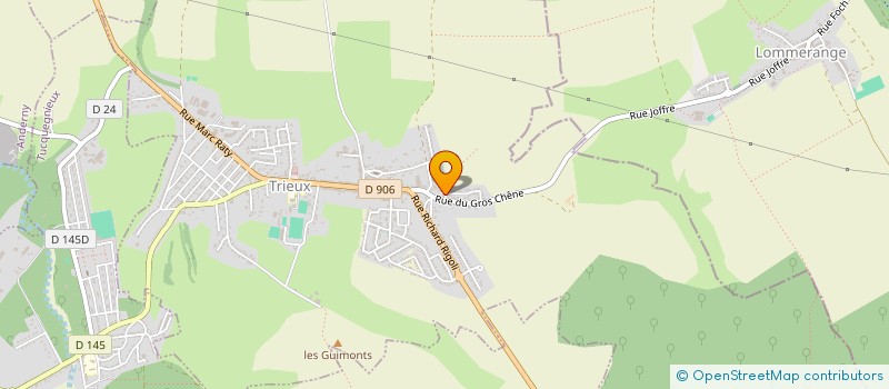 localisation de l'entreprise 903 941 730 à THIONVILLE