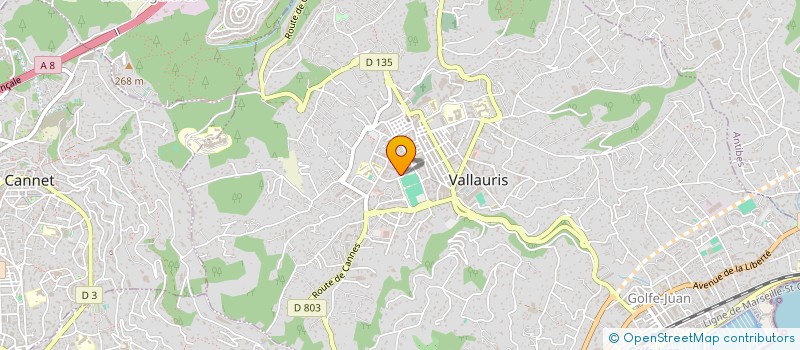 localisation de l'entreprise 904 285 749 à VALLAURIS