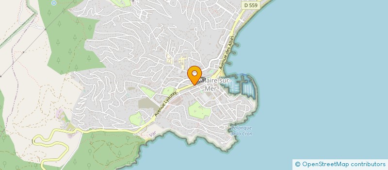 localisation de l'entreprise 905 056 529 à CAVALAIRE-SUR-MER