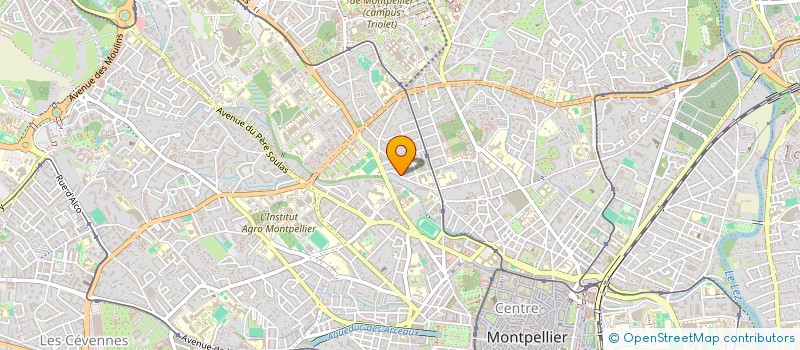 localisation de l'entreprise 905 060 067 à MONTPELLIER