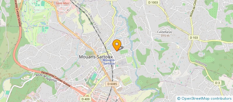 localisation de l'entreprise 905 062 238   MOUANS-SARTOUX