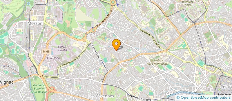 localisation de l'entreprise 905 095 139 à MONTPELLIER