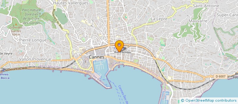 localisation de l'entreprise 907 446 850   CANNES