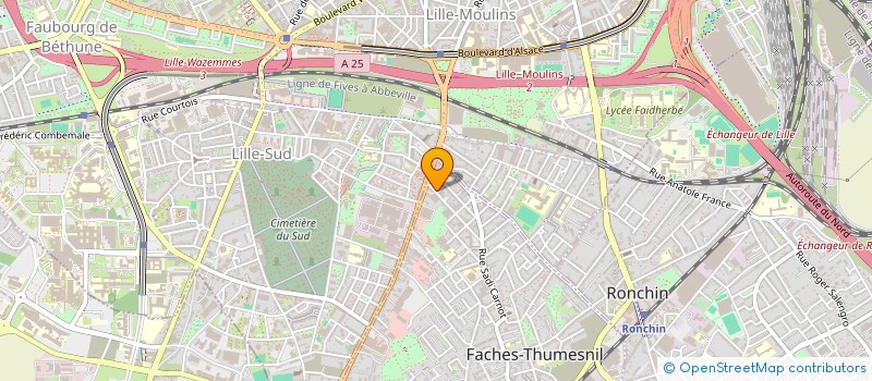 localisation de l'entreprise 907 449 367   FACHES-THUMESNIL