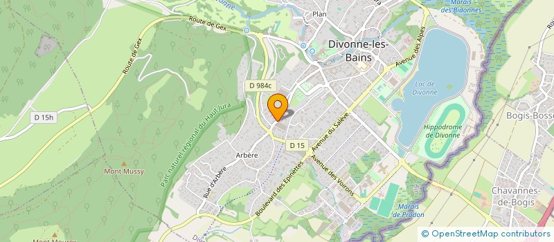 localisation de l'entreprise 907 675 730 à DIVONNE-LES-BAINS