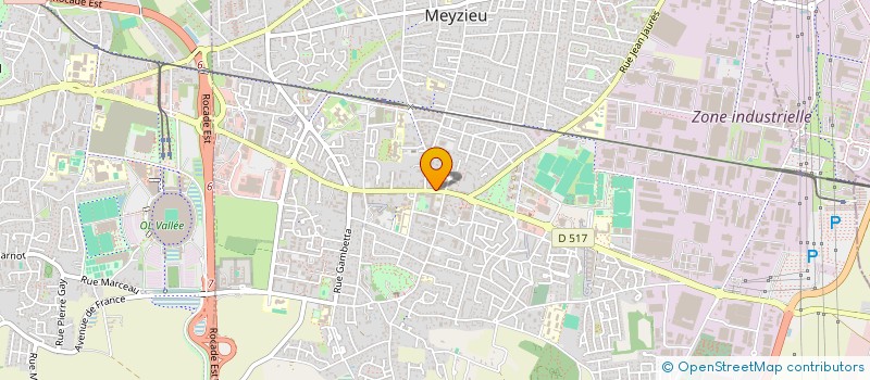 localisation de l'entreprise 907 817 423   MEYZIEU