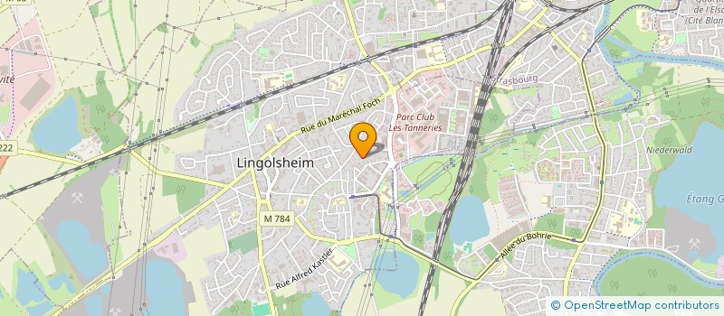 localisation de l'entreprise 909 119 851   LINGOLSHEIM
