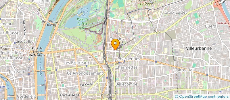 localisation de l'entreprise 909 333 866   VILLEURBANNE