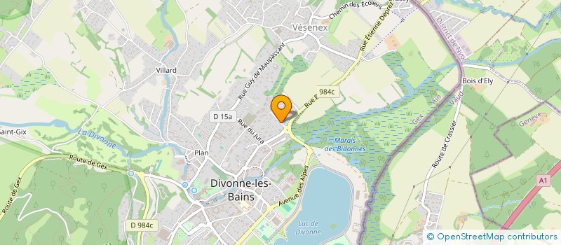 localisation de l'entreprise 909 726 945 à DIVONNE-LES-BAINS