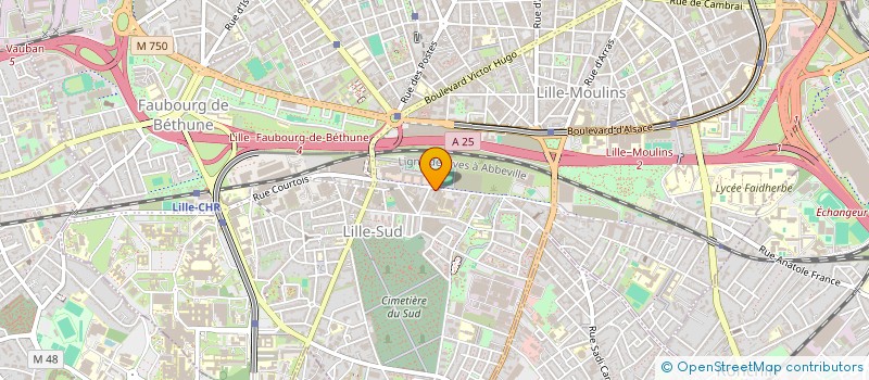 localisation de l'entreprise 909 795 874 à LILLE
