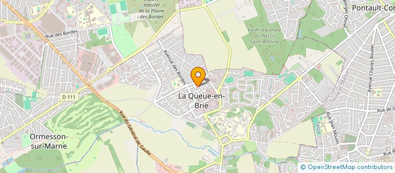 localisation de l'entreprise 910 209 808   LA QUEUE-EN-BRIE