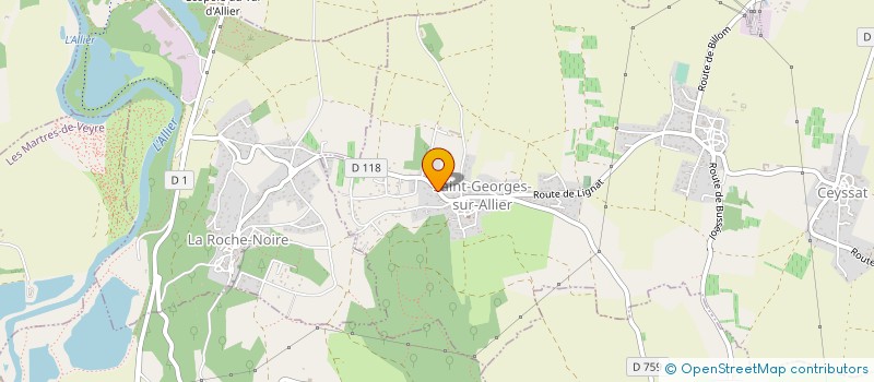 localisation de l'entreprise 910 326 891   SAINT-GEORGES-SUR-ALLIER
