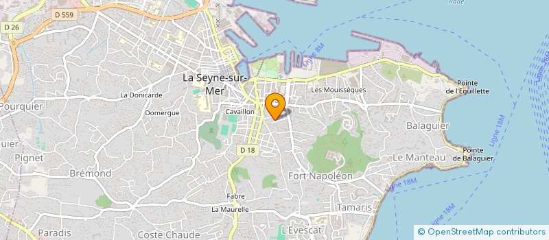 localisation de l'entreprise 910 773 720   LA SEYNE-SUR-MER