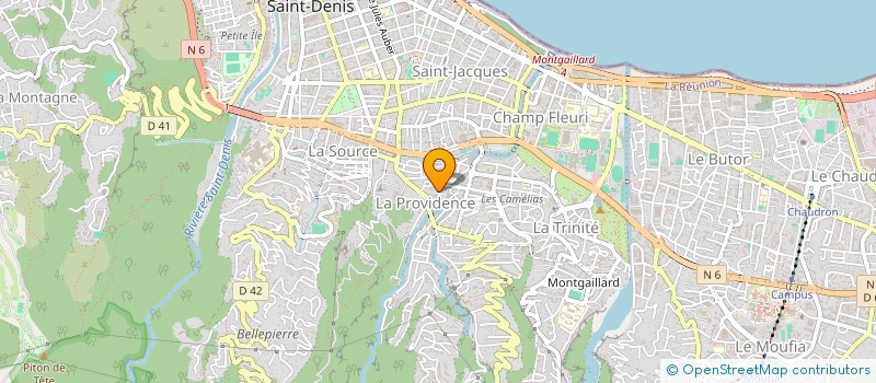 localisation de l'entreprise 911 015 295 à SAINT-DENIS