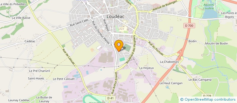 localisation de l'entreprise 911 595 460  à LOUDEAC