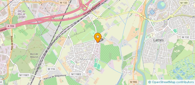 localisation de l'entreprise 911 938 272   CASTELNAU-LE-LEZ