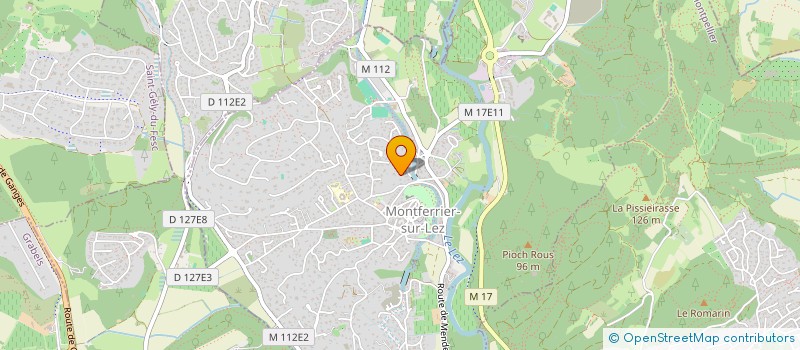 localisation de l'entreprise 913 161 113   MONTFERRIER-SUR-LEZ