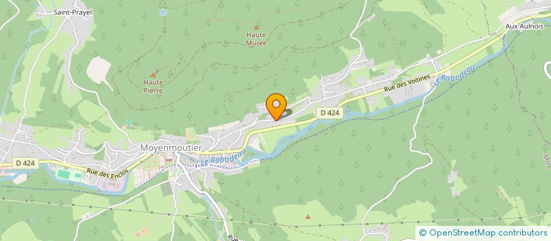 localisation de l'entreprise 915 205 496   MOYENMOUTIER