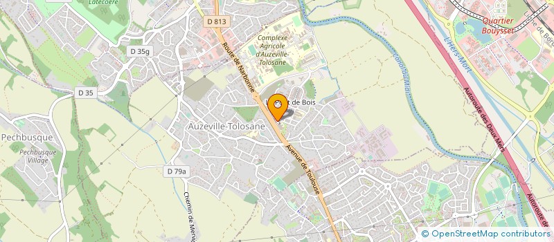 localisation de l'entreprise 917 387 763 à AUZEVILLE-TOLOSANE