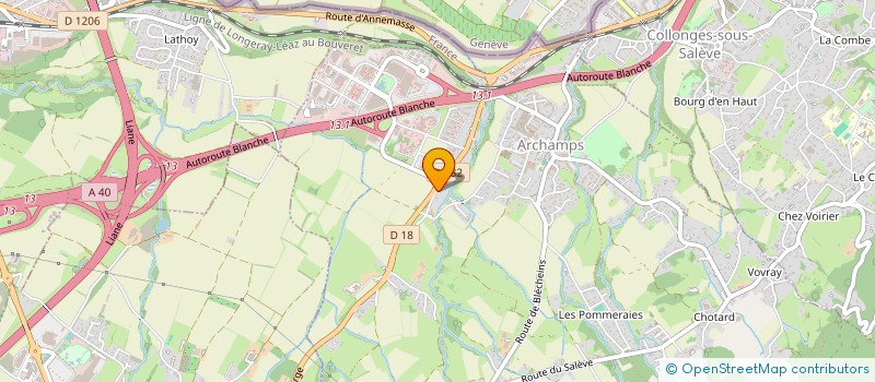 localisation de l'entreprise 917 604 233   SAINT-JULIEN-EN-GENEVOIS