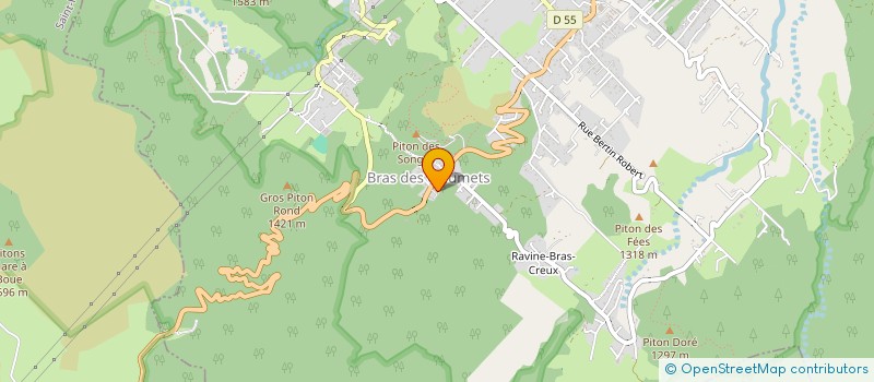 localisation de l'entreprise 917 643 041 à LA PLAINE-DES-PALMISTES