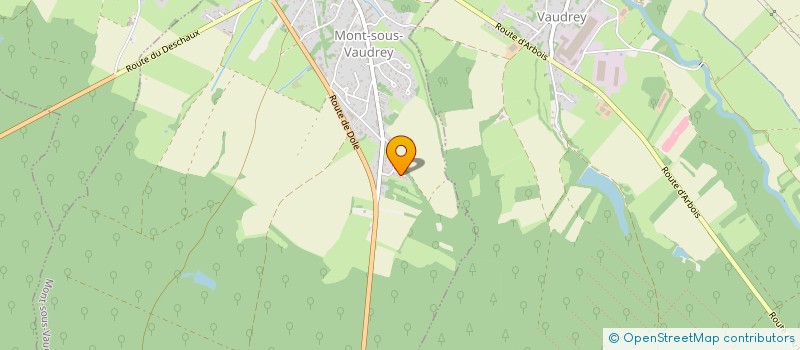 localisation de l'entreprise 917 698 441   MONT-SOUS-VAUDREY