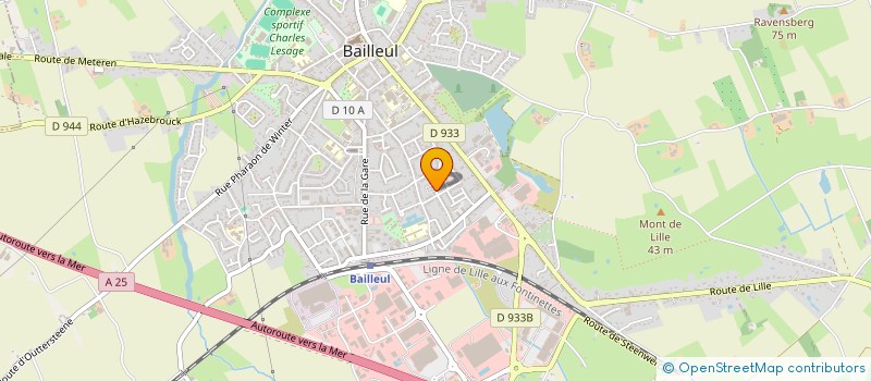 localisation de l'entreprise 917 873 218  à BAILLEUL