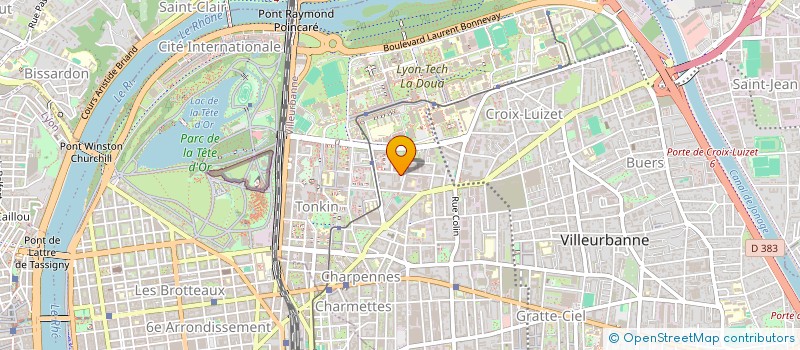 localisation de l'entreprise 917 876 088   VILLEURBANNE