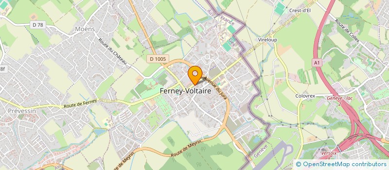 localisation de l'entreprise 918 179 177  à FERNEY-VOLTAIRE