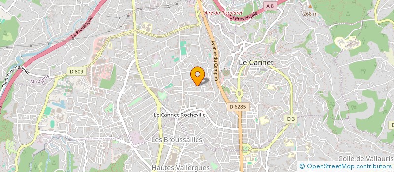 localisation de l'entreprise 918 228 495  à LE CANNET