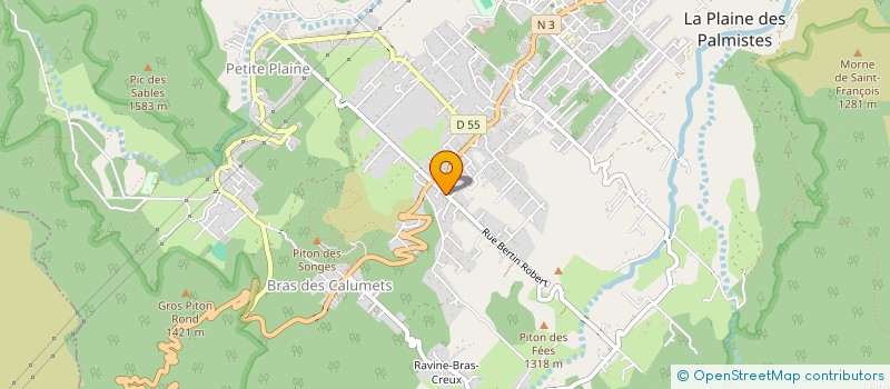 localisation de l'entreprise 918 396 326   LA PLAINE-DES-PALMISTES