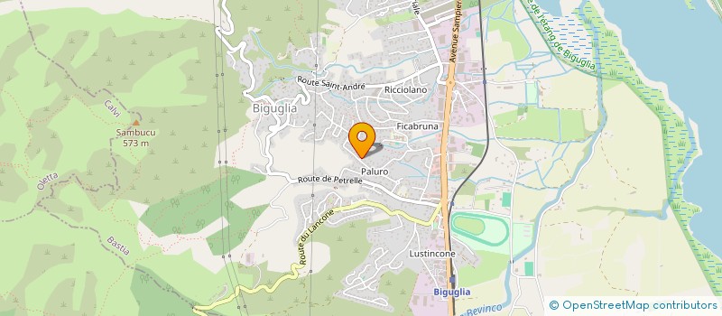 localisation de l'entreprise 918 398 819 à BIGUGLIA