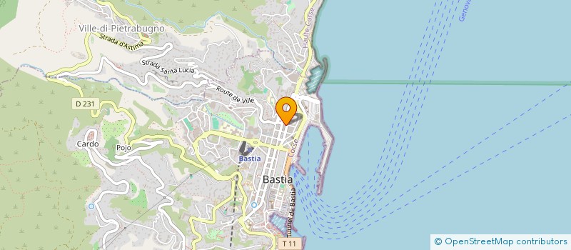localisation de l'entreprise 918 523 655 à BASTIA