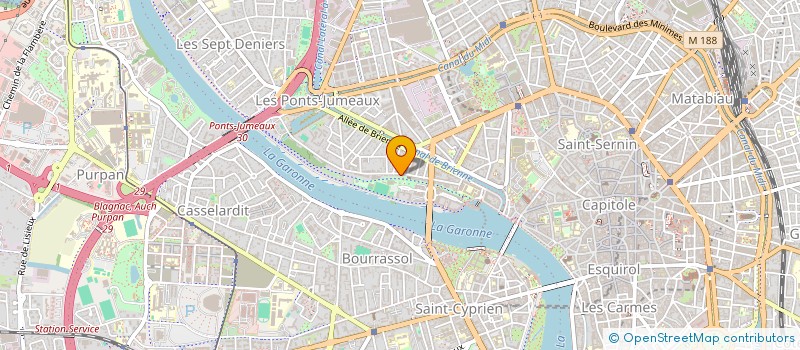 localisation de l'entreprise 918 675 596 à TOULOUSE